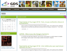 Tablet Screenshot of gdscentre.fr